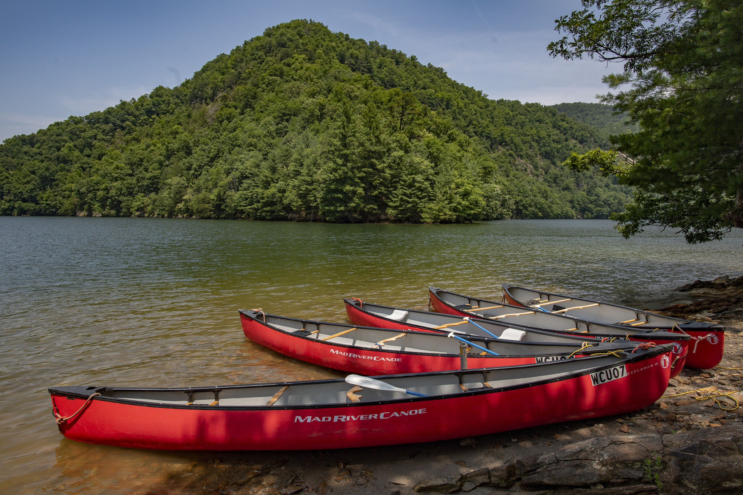 Canoes at local lake.