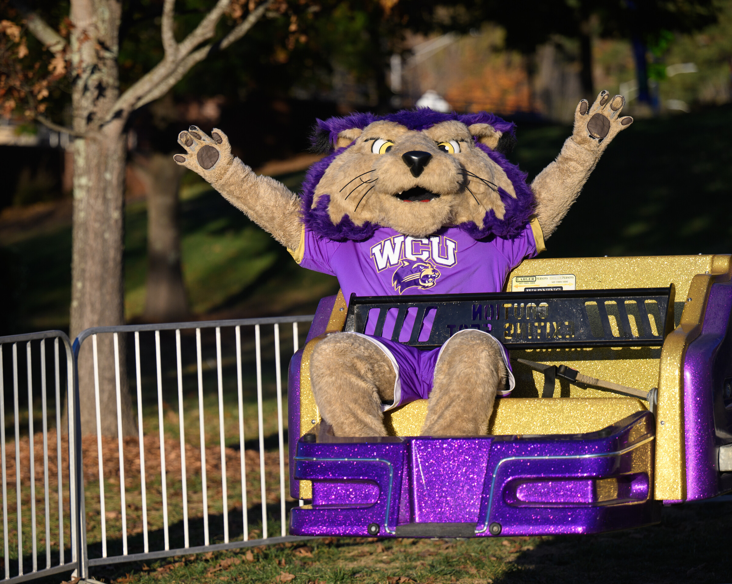 Paws riding a homecoming carnival ride