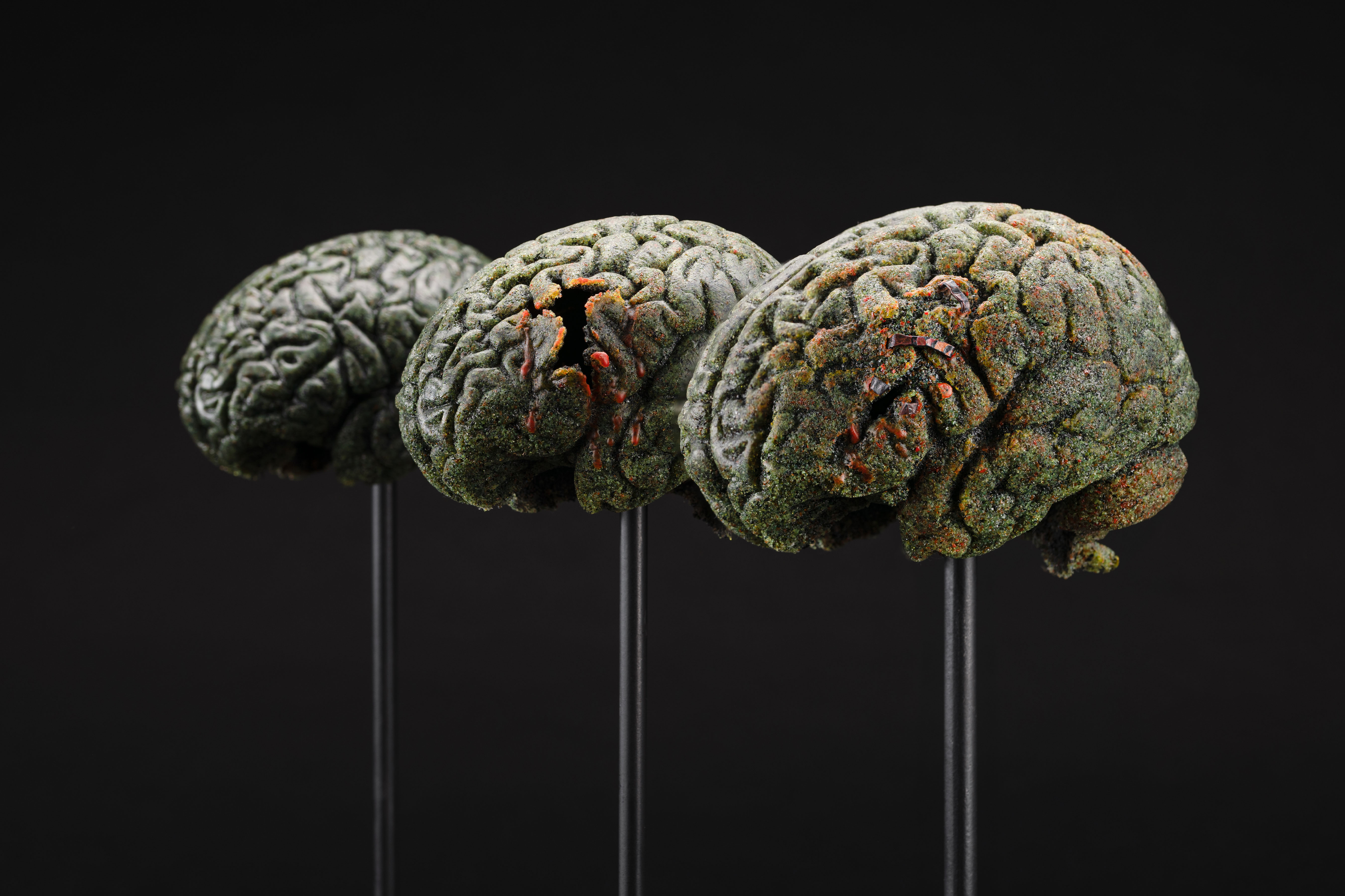 A close-up image shows three sculpted human brains mounted on thin metal rods against a dark, nearly black background. The brains are arranged in a row from left to right, with the leftmost slightly out of focus and the rightmost most prominent. Each brain has a rough, textured surface covered in greenish and mottled tones, with patches of red and orange accents that appear embedded in or clinging to the surface. One of the brains has a noticeable cracked or hollowed section, exposing an uneven interior.