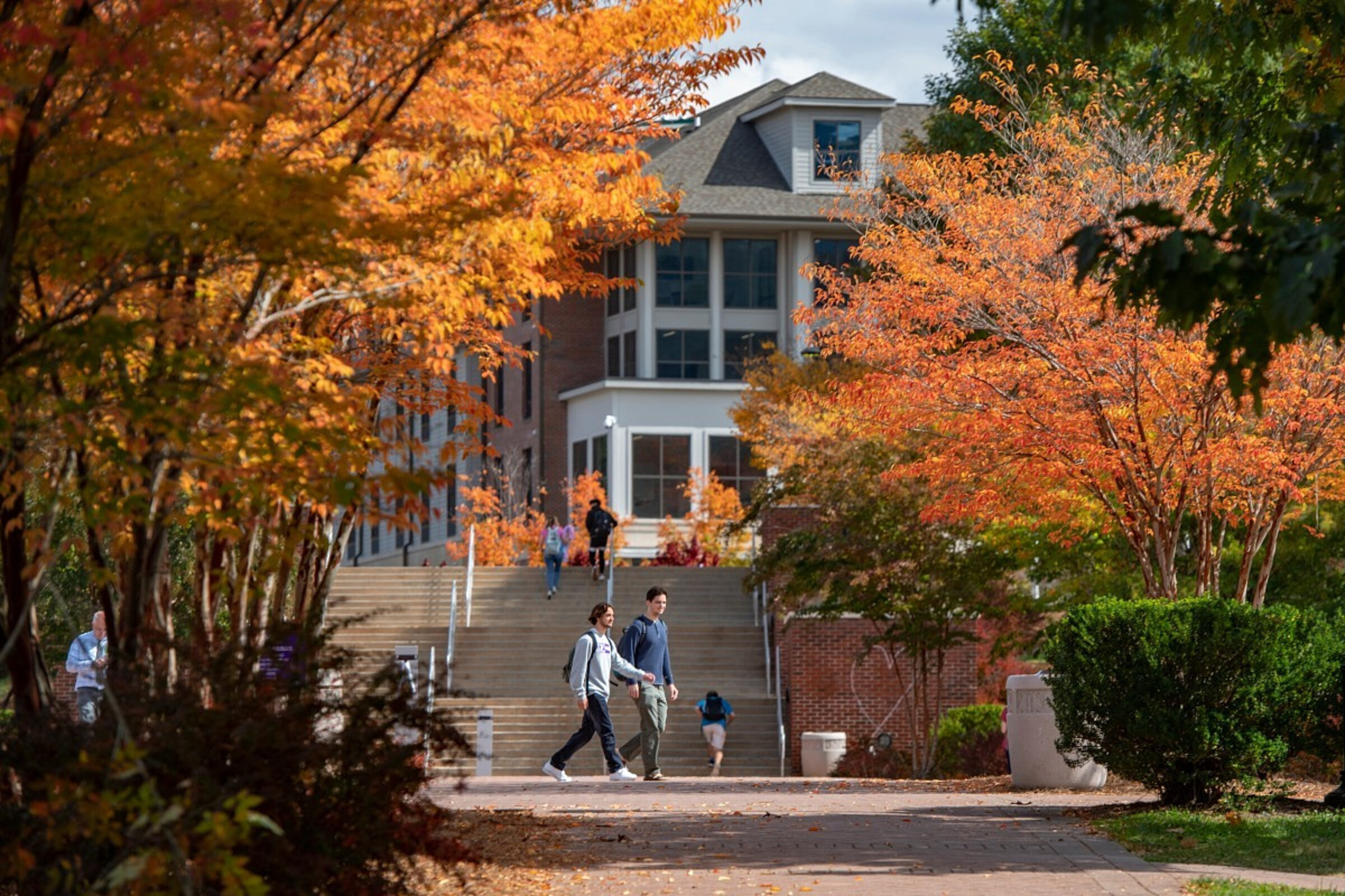 Students walking across campus