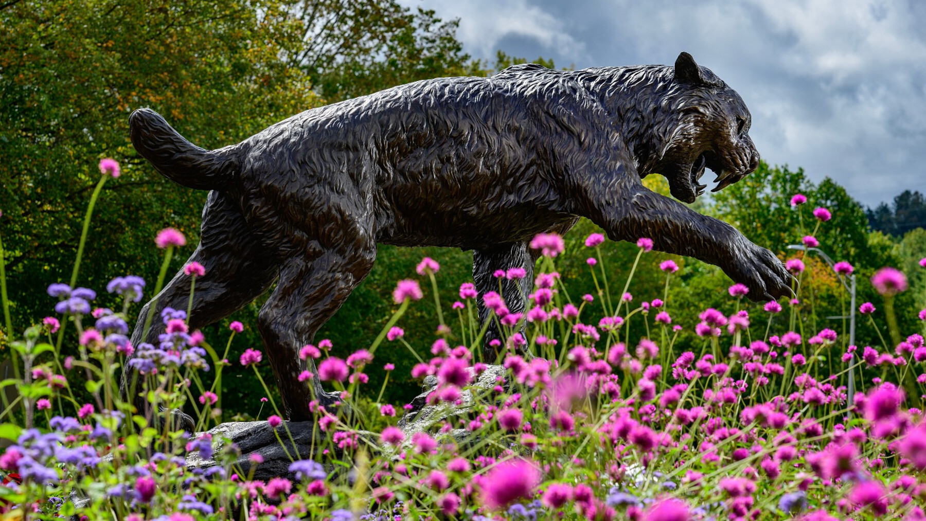 Catamount statue as seen through purple clovers