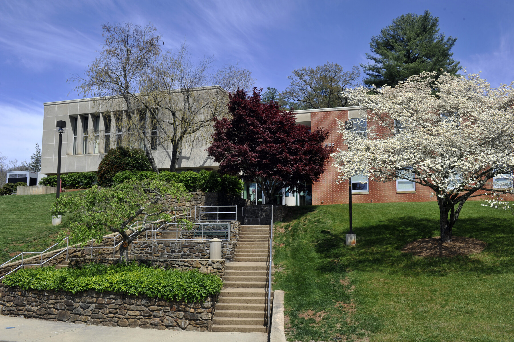 WCU Health Services