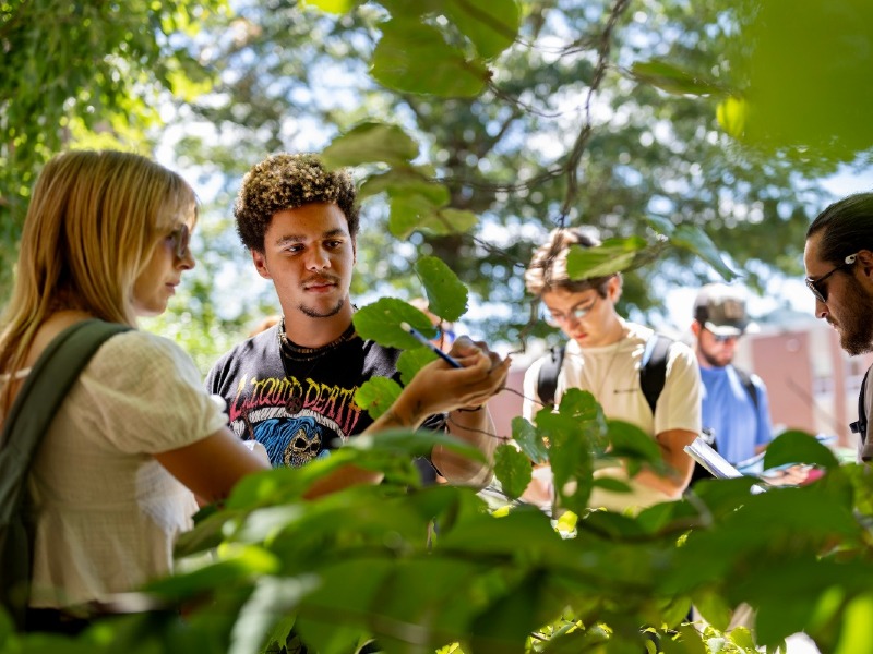 Class of students outside studying plant matter. 