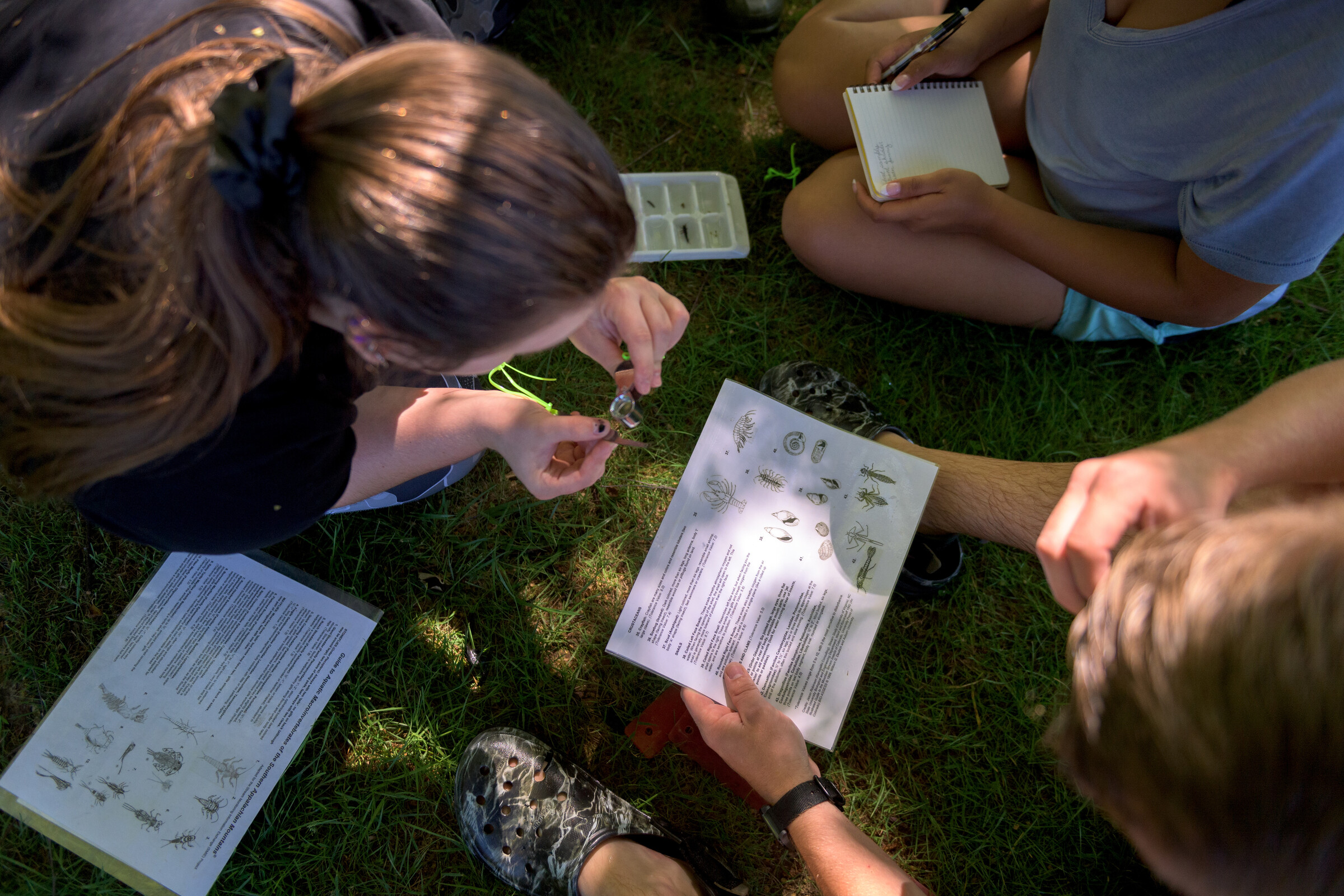 students in field doing research